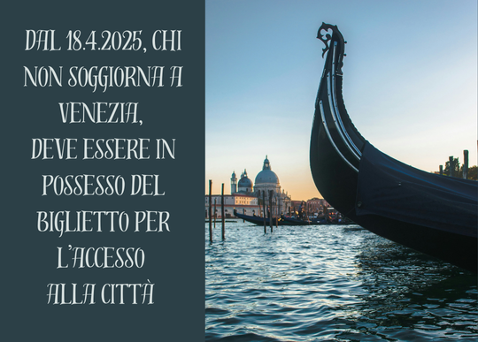 biglietto  x visitare venezia.png